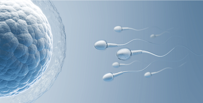 Sperm Donation Journey