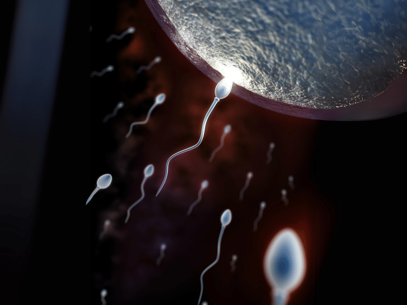 Sperm Chip Technology