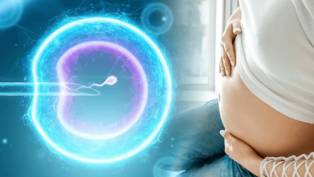 Frozen Embryo Transfer (FET)