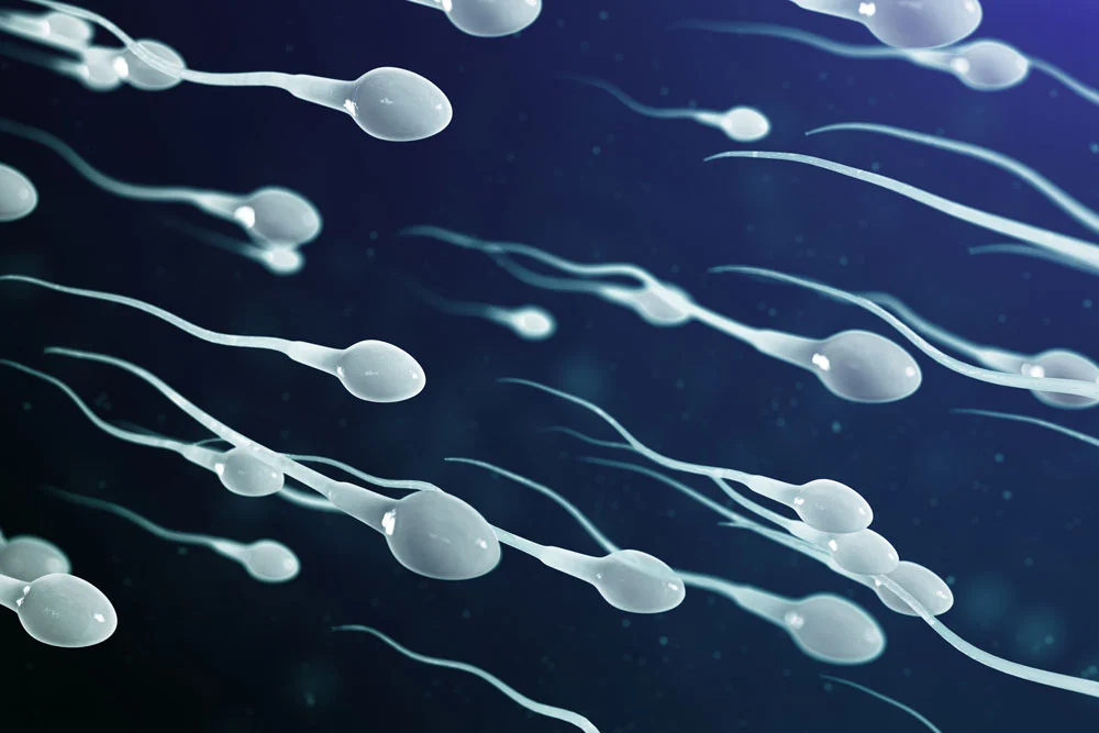 Sperm Chip technology